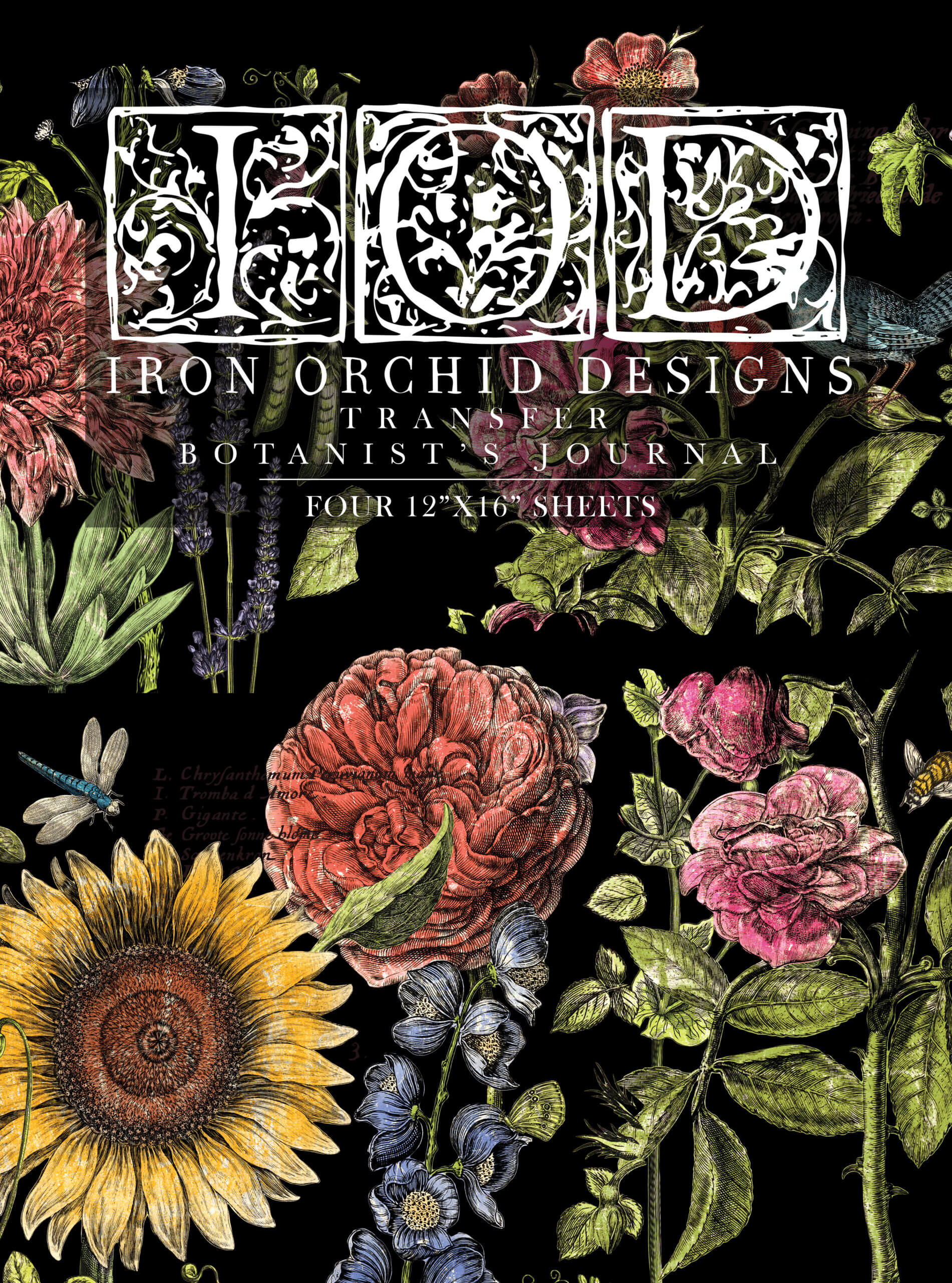 Iron Orchid Designs Decor Transfer Cheers